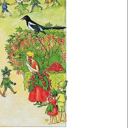 Illustration of fairies in a garden with a magpie and berries