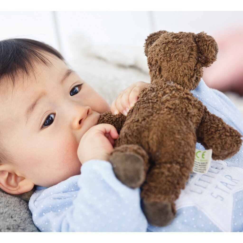 Baby holding brown baby bear