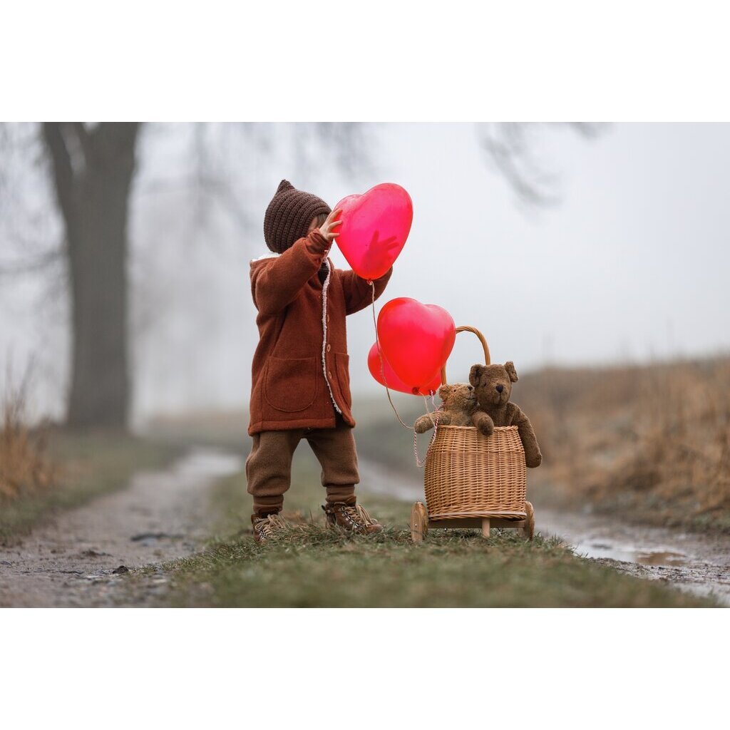Child in brown coat and hat holding red balloons with a Brown Senger teddy bear in a basket on a foggy path.