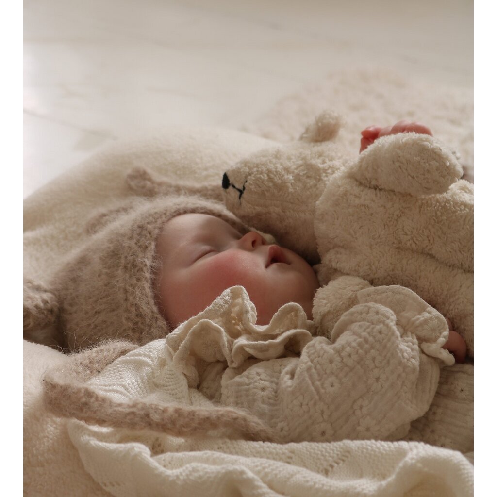 Baby sleeping with a 12" senger teddy bear under a blanket