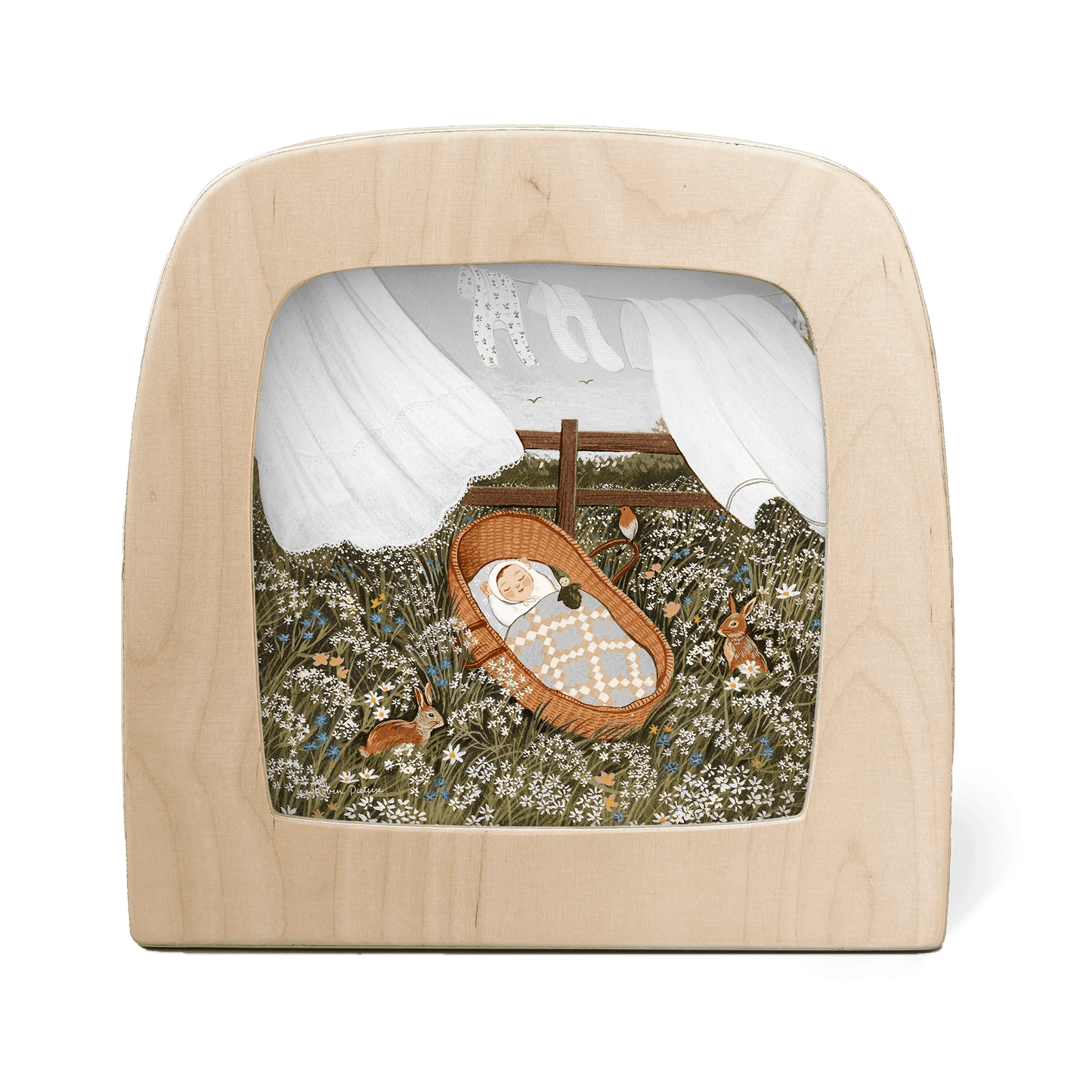 Silhouette of baby sleeping in a basket in a field of flowers and a clothesline