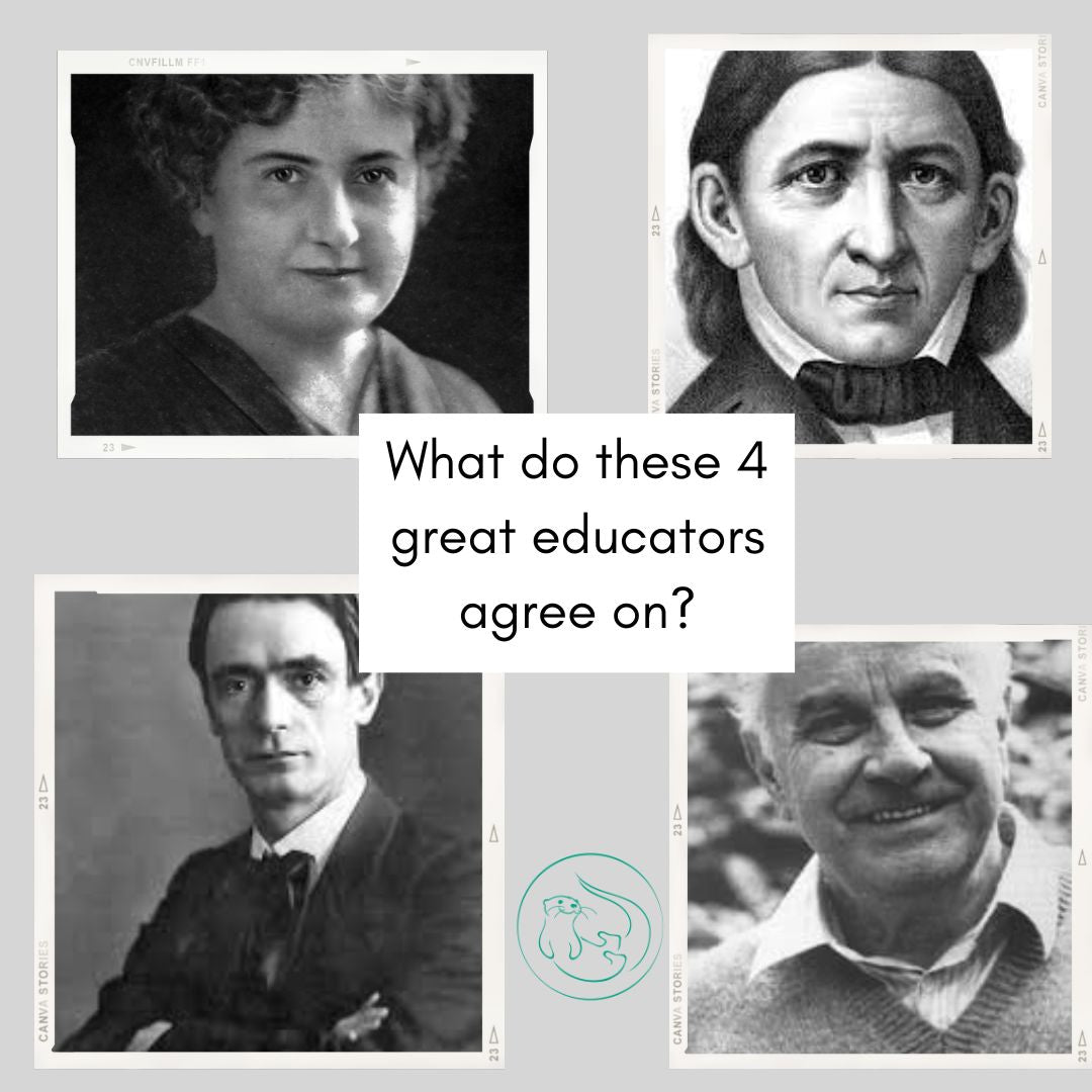 Common Themes Among the Leaders in Child Education - blueottertoys