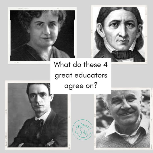 Common Themes Among the Leaders in Child Education - blueottertoys