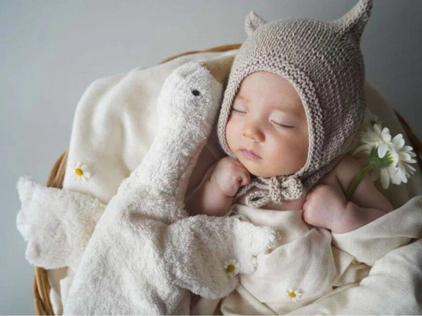 Sleeping baby cuddling a Senger Organic Cotton Goose Warming Pillow, highlighting comfort and quality featured in Our Favorite Brands for Baby's First Year.