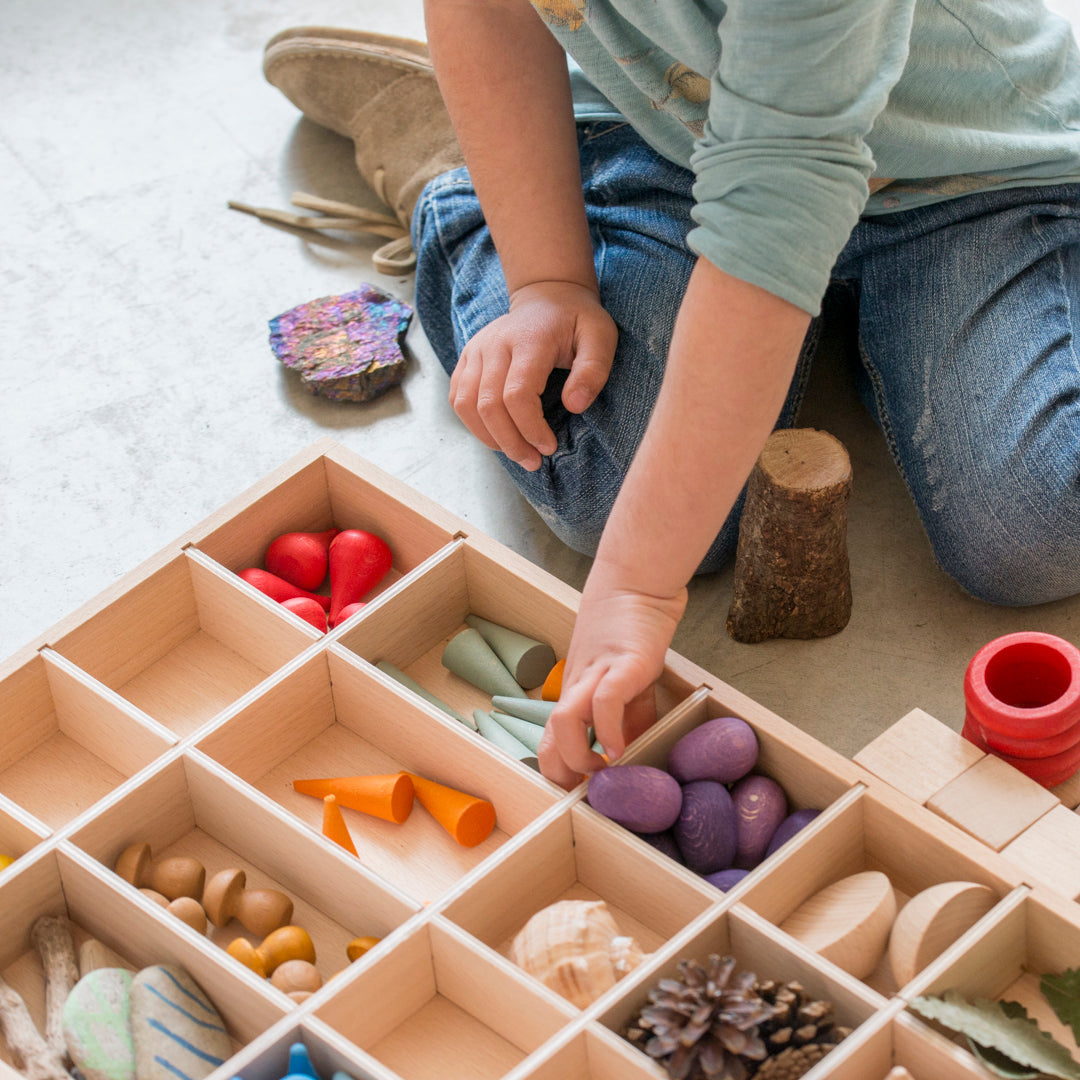 Child sitting on the floor in front of a storage tray with different colored items in each compartment