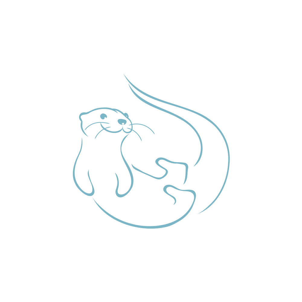 Blue Otter Toys