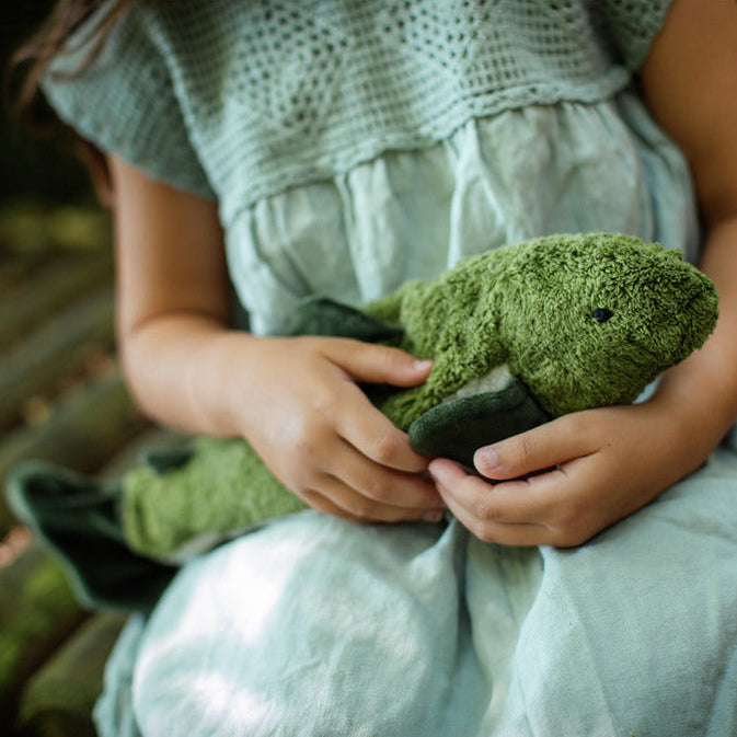 Child wearing a blue dress wholding a green trout shaped stuffed animal while sitting on a wooden surface