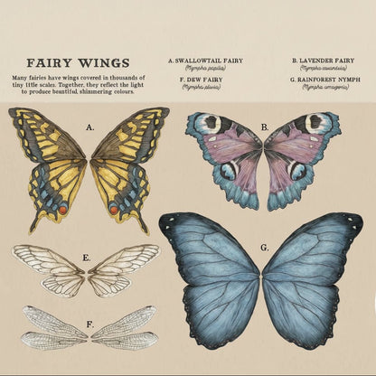 Page titled 'Fairy Wings' with illustrated pictures of different pairs of wings on a light background
