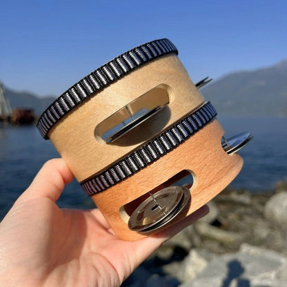 Hand holding two tambourines with a scenic background of water and mountains.