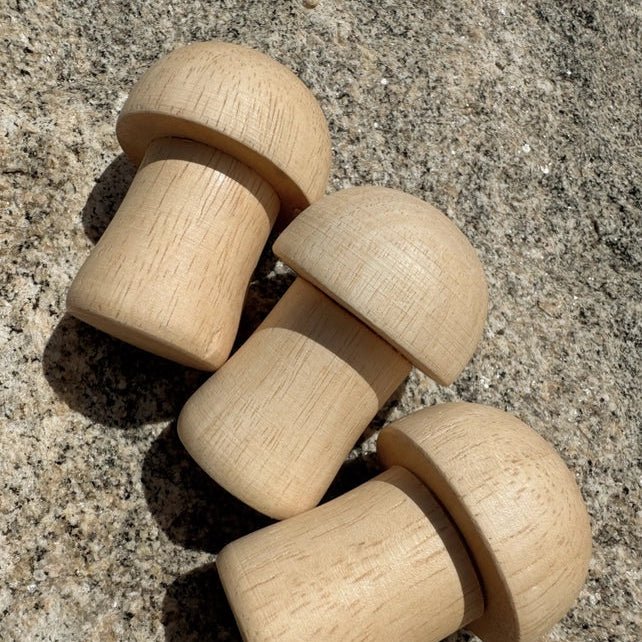 Wooden mushroom rattles on a rocky surface