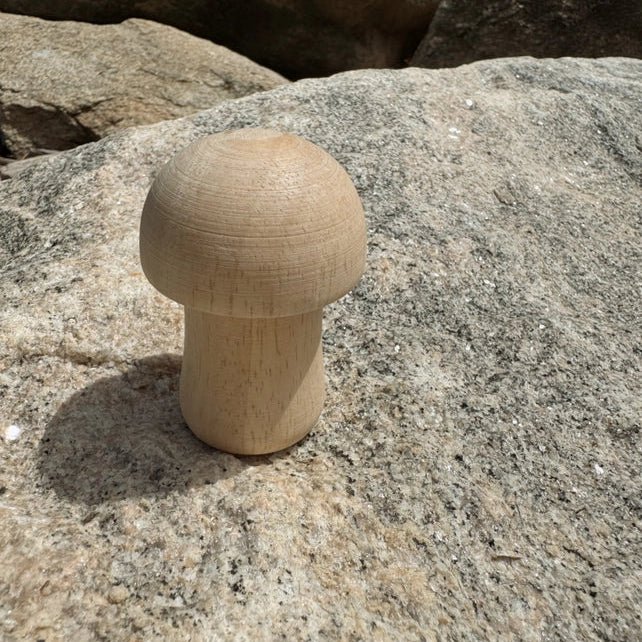 Wooden mushroom-shaped rattle on a rocky surface