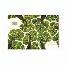 Illustration of intertwined trees with text on a white background