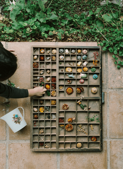 Grapat Flower Meadow Play Set