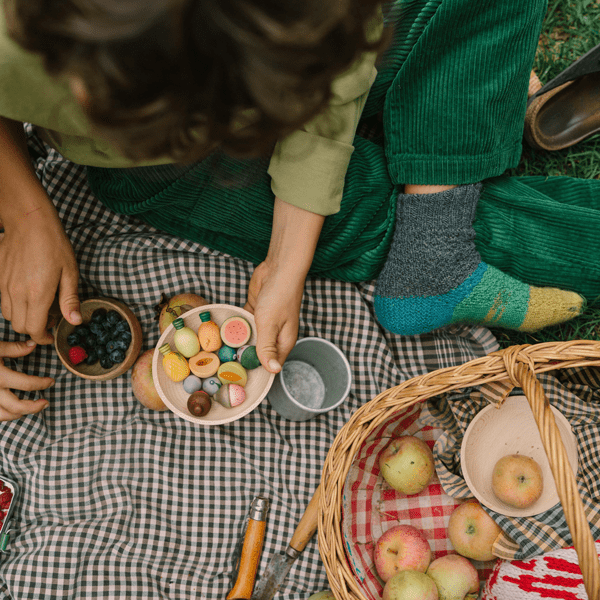Child sitting on a checkered blanket with a picnic basket, apples, and a small bowl of wooden fruit.