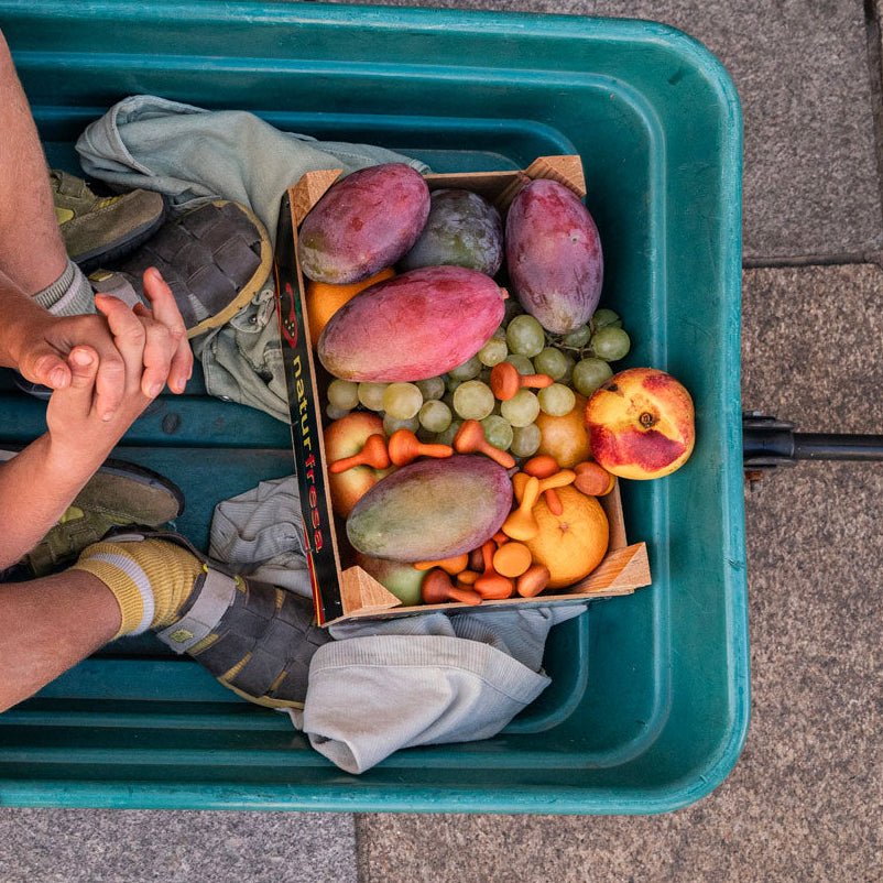 children sitting in a teal wagon with a box of real fruit and wooden orange pieces