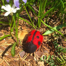 Felted red ladybug with black spots in an outside nature setting