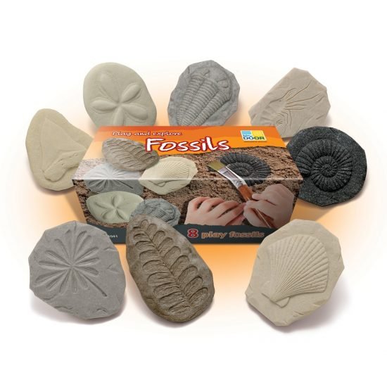 Set of play fossils with packaging on a white background