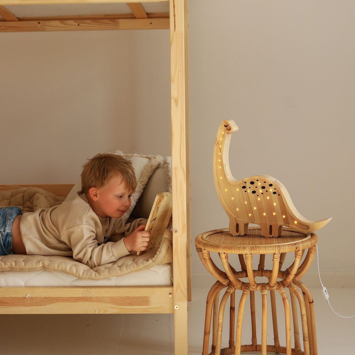 Little Lights Dinosaur Lamp