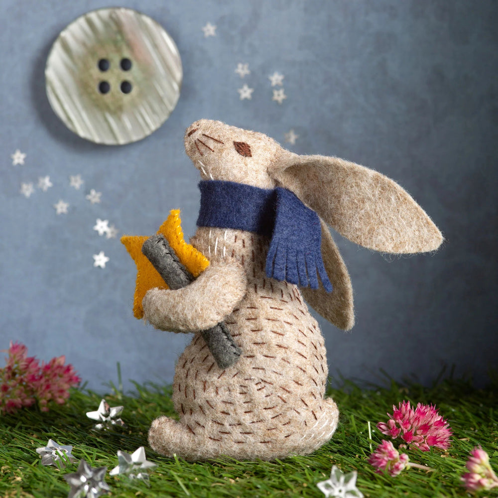 Professor Hare, Stargazer Felt Craft Kit - wood, cotton, wool, felt Art & Craft Kits for open-ended play - Title: Default ...