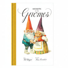 Book cover of 'Secrets of the Gnomes' with two gnomes on a white background