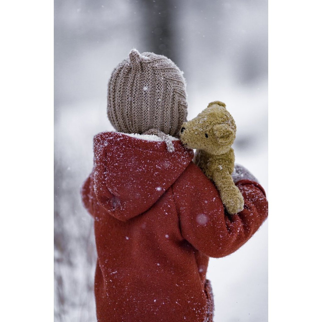 Person in a red coat and beige hat holding a Senger beige teddy bear  in a snowy setting