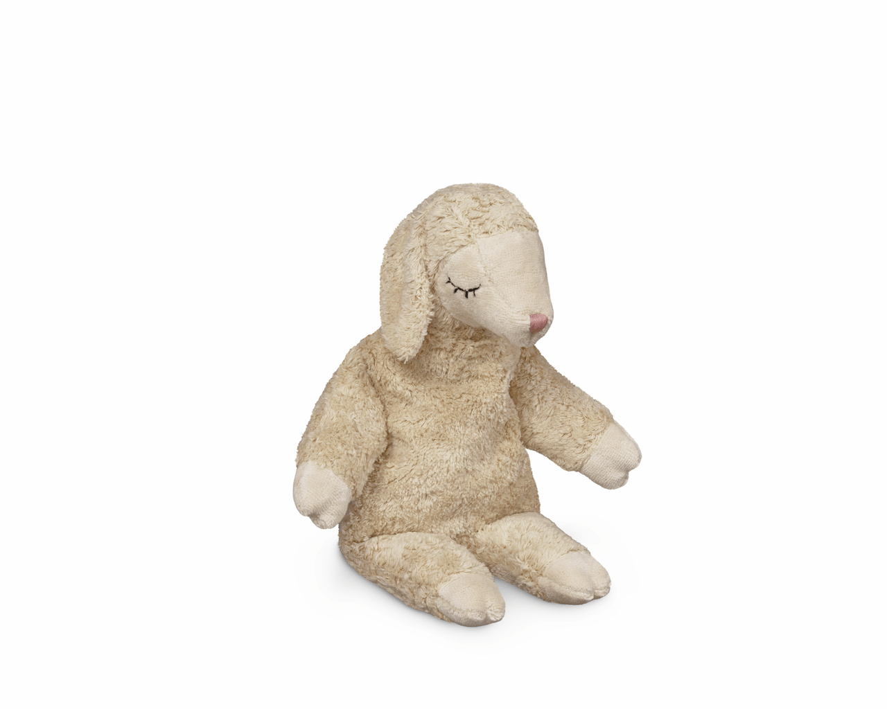 Plush toy sheep on a white background