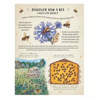 An educational children's book page about bees and honey, featuring colorful watercolor-style illustrations of bees, a beehive, honeycomb, flowers, and text panels explaining how a bee cools its honey.