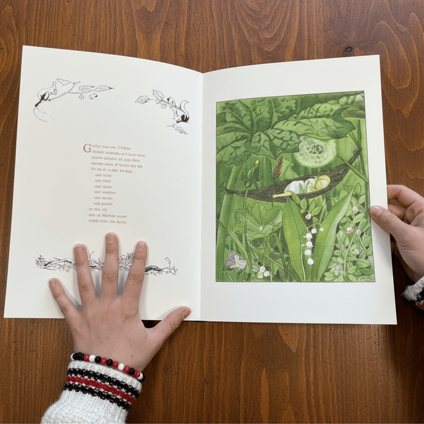 Open book with text on the left and an image of a young girl sleeping in the forest on a wood background