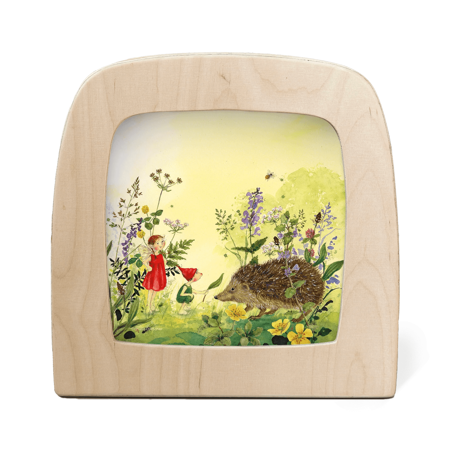 Wooden frame with a fairy and hedgehog illustration on a white background
