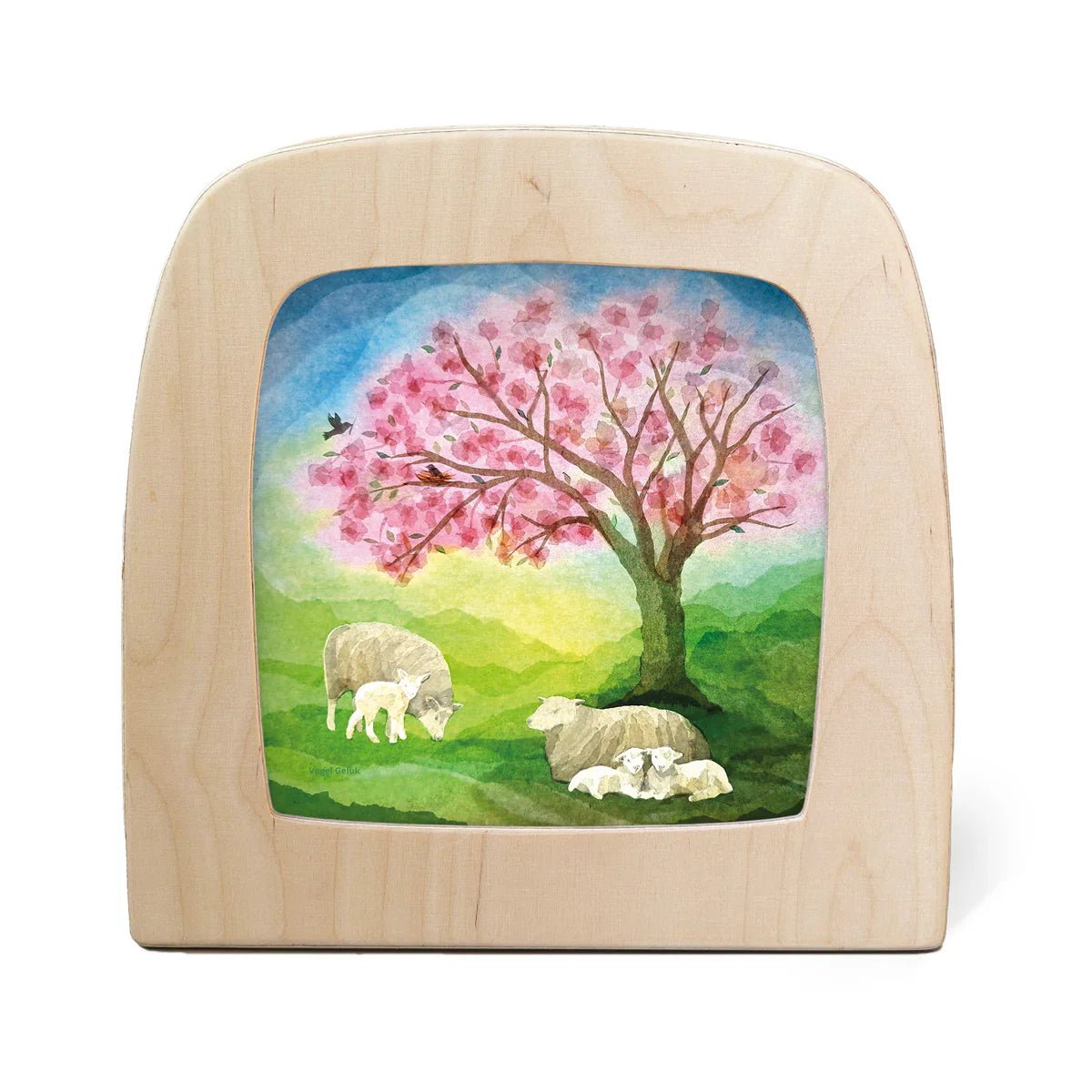 Silhouette of sheep laying under a tree with pink blossoms