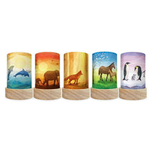 Five cylindrical Toverlux decorative shades with colorful animal and nature illustrations, arranged in a row against a white background.