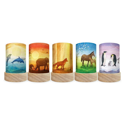 Five cylindrical Toverlux decorative shades with colorful animal and nature illustrations, arranged in a row against a white background.