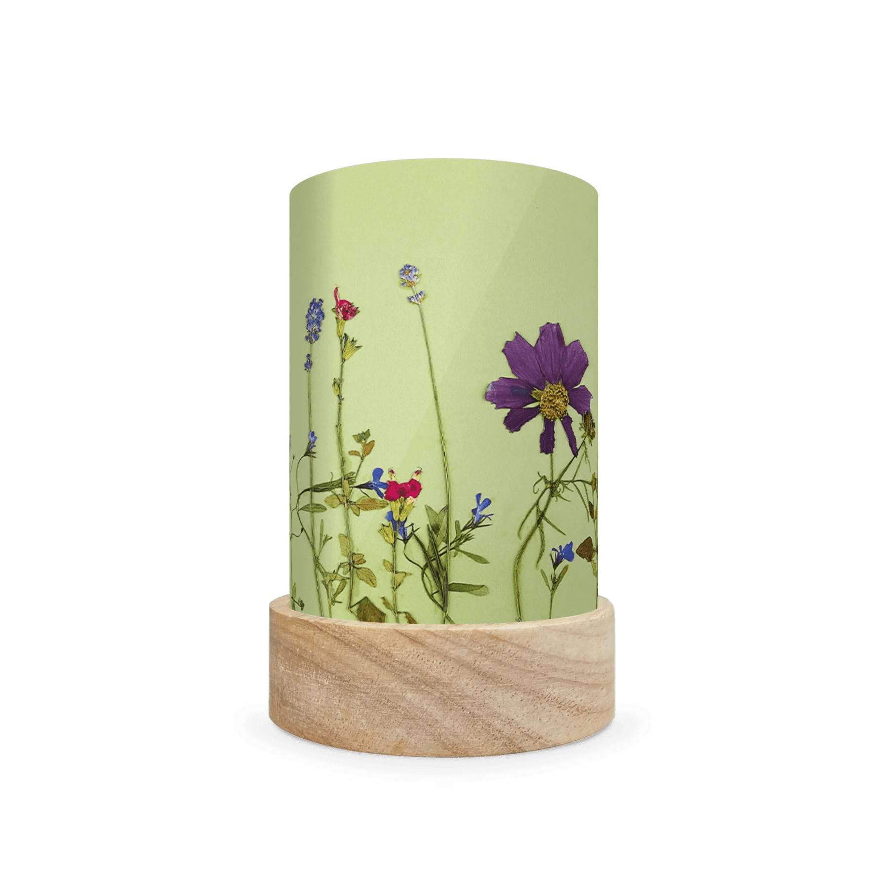 Mini lantern silhouette of pressed blue, purple, and red flowers on a light green background