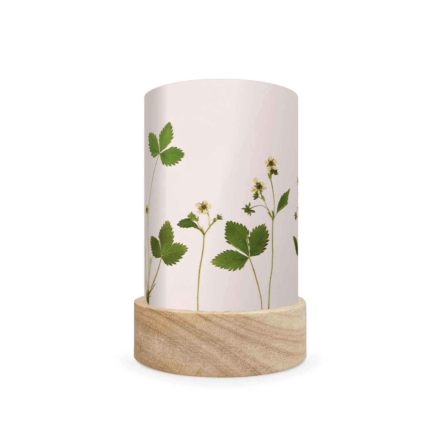 Mini lantern silhouette of pressed white flowers and bright green leaves on a white background