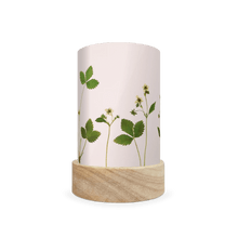 Mini lantern silhouette of pressed white flowers and bright green leaves on a white background