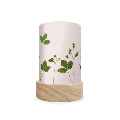 Mini lantern silhouette of pressed white flowers and bright green leaves on a white background