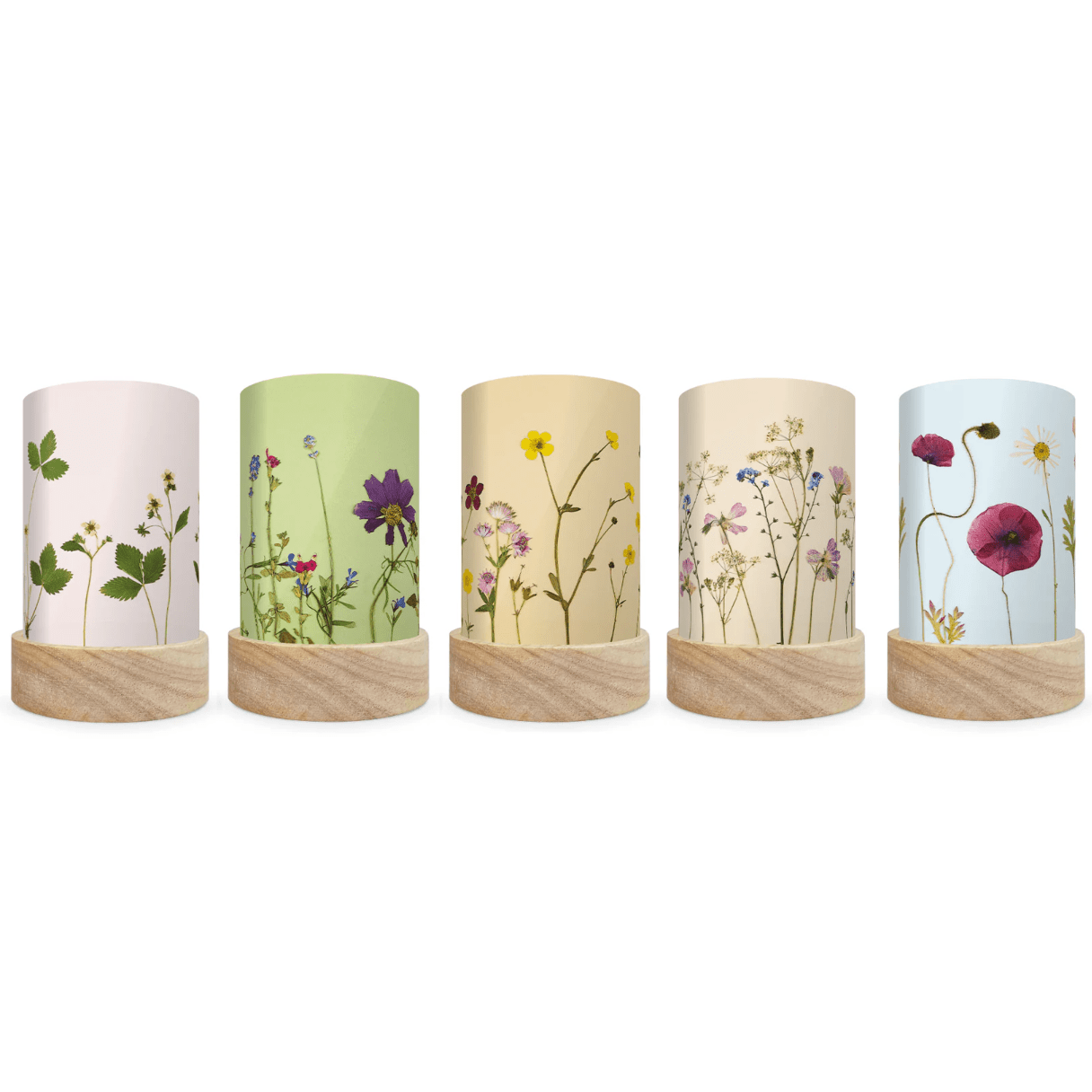 Five mini lanterns with silhouettes of pressed flowers