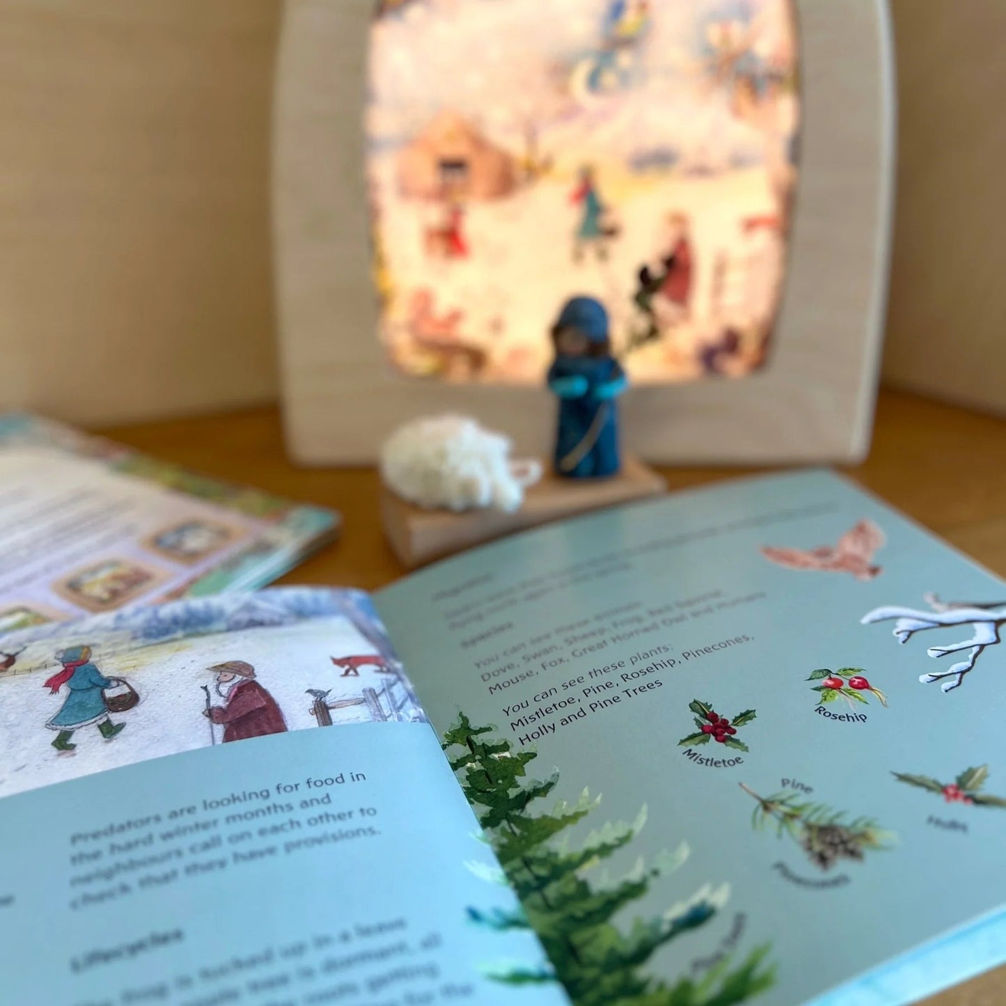 Through the seasons book open to a page on different types of plants