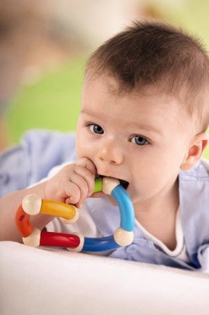 
                  
                    Haba Haba Color Snake Rattle Clutching Toy - blueottertoys-HB3868
                  
                