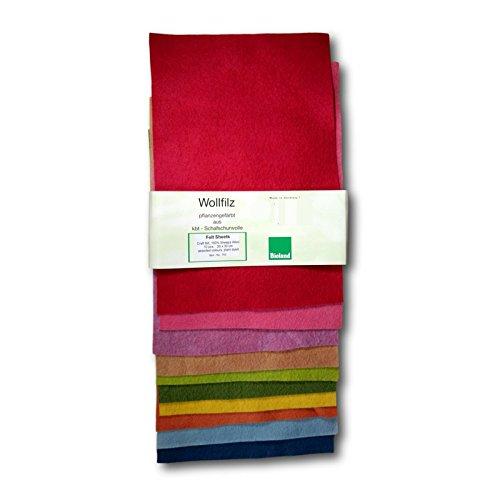 Filges - Bioland Organic Plant-Dyed Felt Sheets, Rainbow Colors, 10 sheets - wool, natural, felt Felting for open-ended pl...