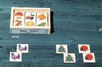 Atelier Fischer Wooden Nature Memory Game in Wooden Box (48 Tiles / 24 Matching Pairs) Atelier Fischer