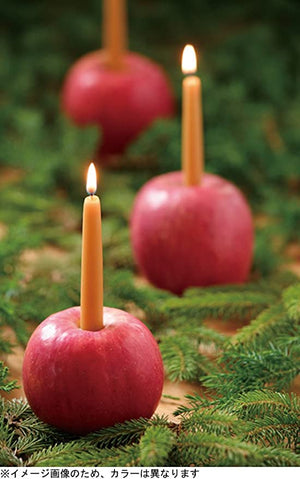 
                  
                    Dipam Beeswax Lights of Joy Christmas Tree Candles 4" (20 Pack)
                  
                