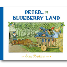 Peter in Blueberry Land - natural Book for open-ended play - Title: Default Title