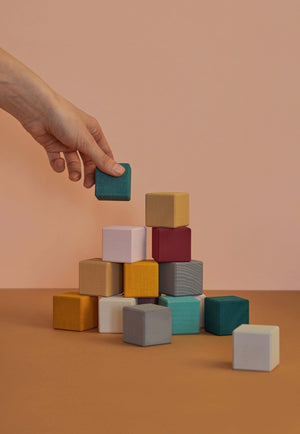 
                  
                    Raduga Grez Wooden Earth Cubes
                  
                