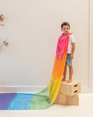 
                  
                    Giant Enchanted Playsilk
                  
                