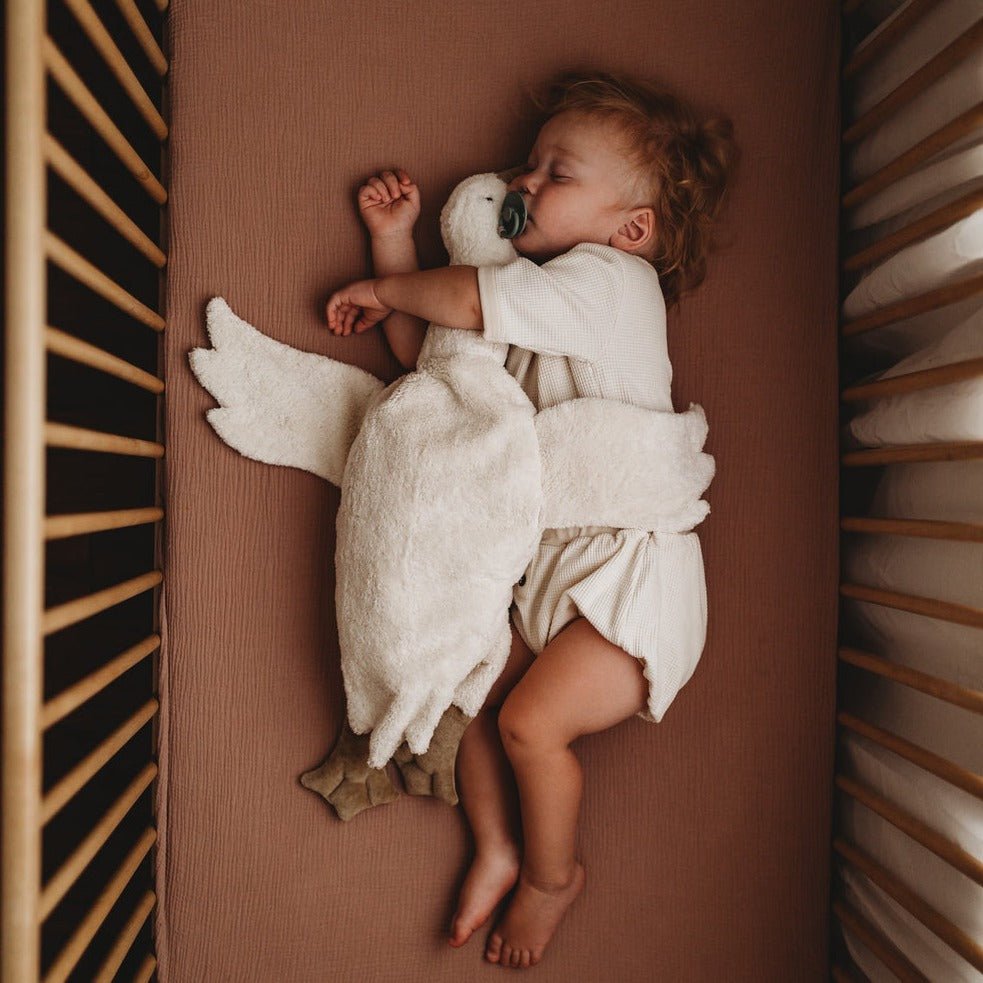 
                  
                    baby sleeping with senger goose
                  
                