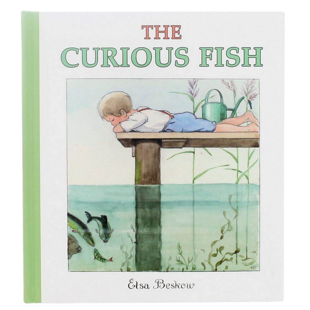 The Curious Fish Book for open-ended play - Title: Default Title