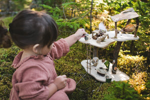 
                  
                    Fairy House Kit
                  
                