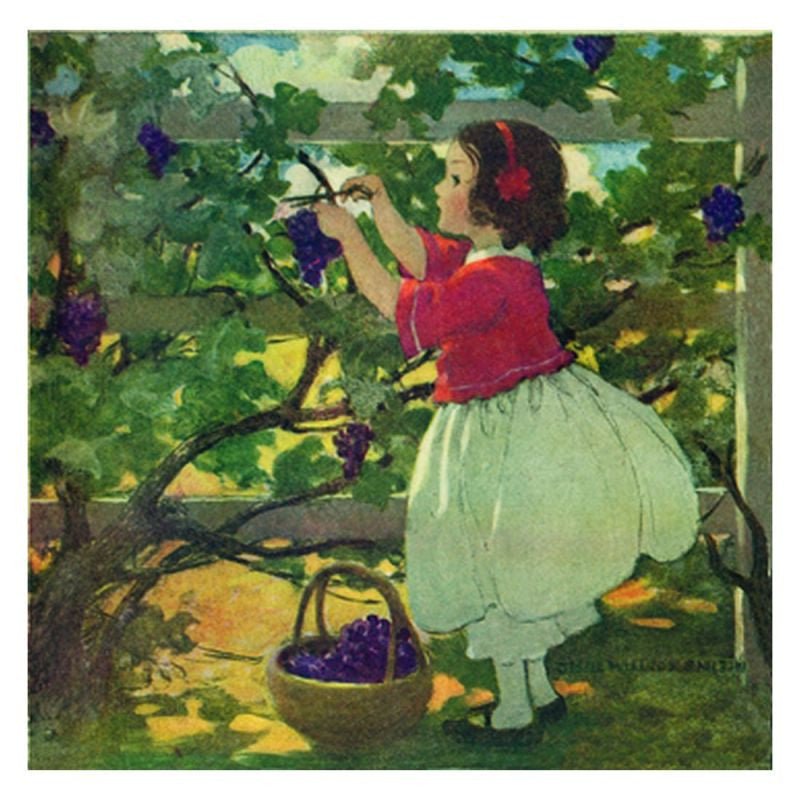 Jessie Willcox Smith Greeting Cards : Picking Grapes for open-ended play - Title: Default Title