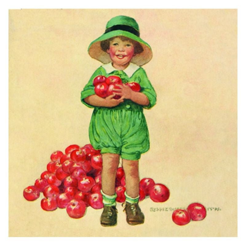 TJ Whitneys Jessie Willcox Smith Greeting Cards : Child with Apples - blueottertoys-JWS26